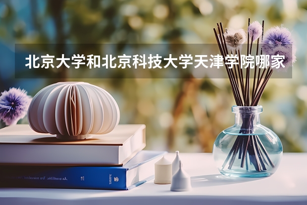 北京大学和北京科技大学天津学院哪家学校录取分数低