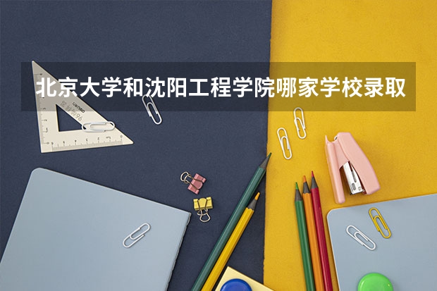 北京大学和沈阳工程学院哪家学校录取分数低