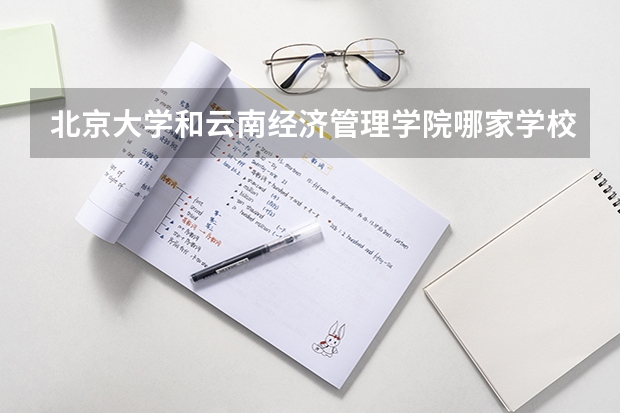 北京大学和云南经济管理学院哪家学校录取分数低