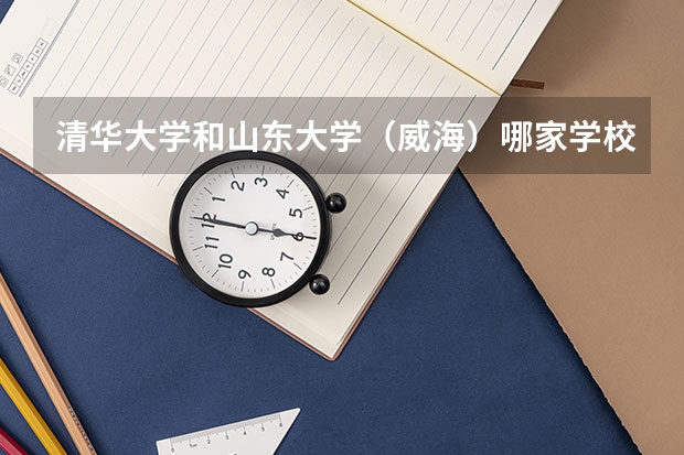 清华大学和山东大学（威海）哪家学校录取分数低