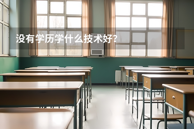没有学历学什么技术好？