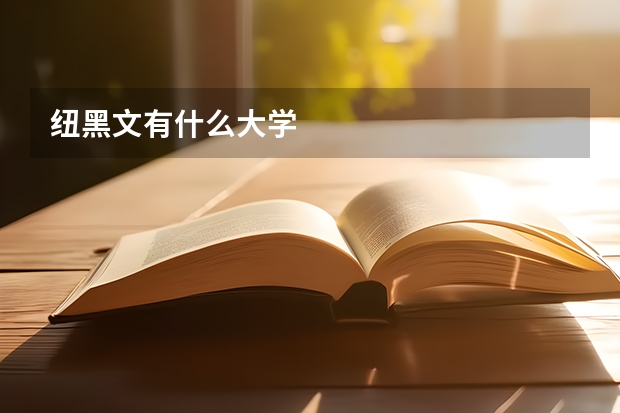 纽黑文有什么大学