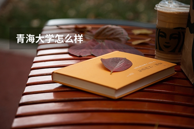 青海大学怎么样