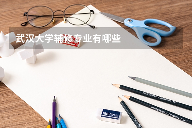 武汉大学辅修专业有哪些