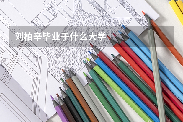 刘柏辛毕业于什么大学