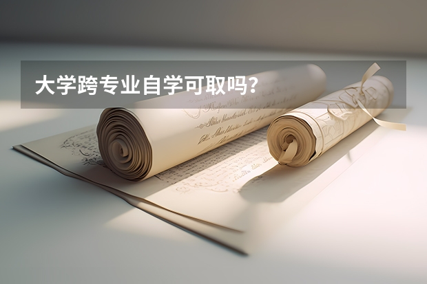 大学跨专业自学可取吗？