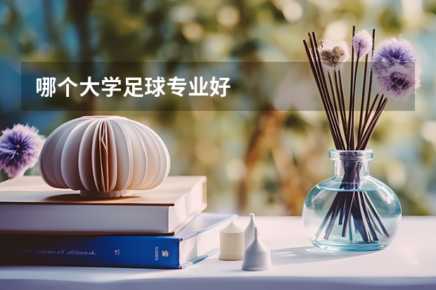 哪个大学足球专业好