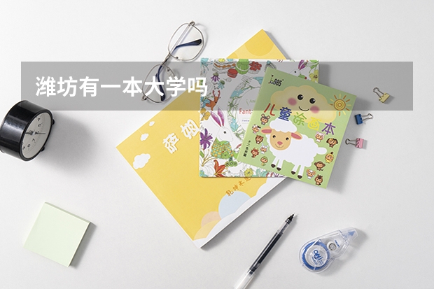 潍坊有一本大学吗