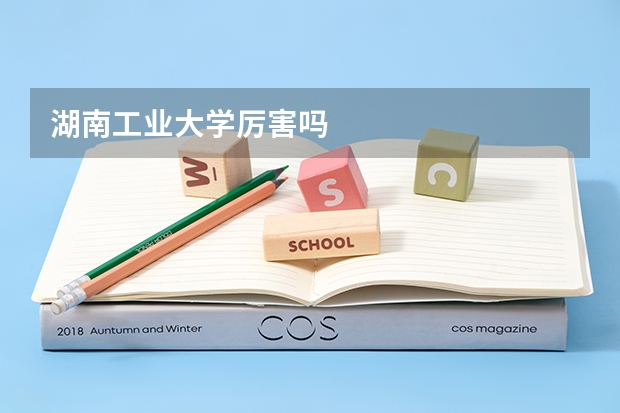 湖南工业大学厉害吗