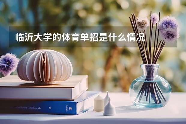 临沂大学的体育单招是什么情况