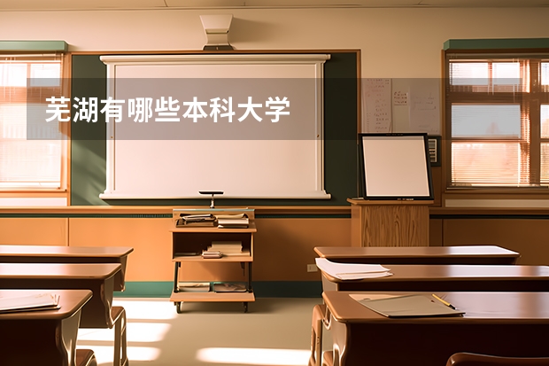 芜湖有哪些本科大学