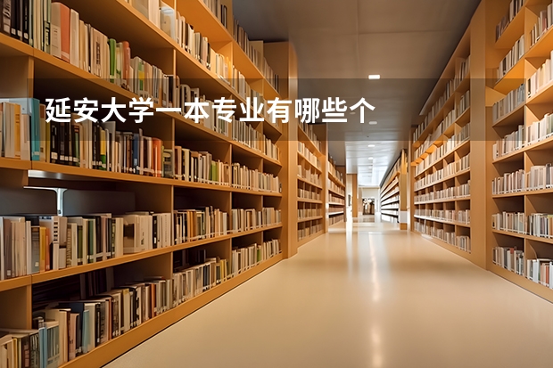 延安大学一本专业有哪些个