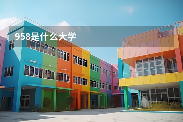 958是什么大学