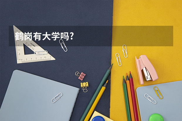 鹤岗有大学吗?