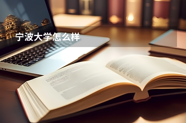 宁波大学怎么样
