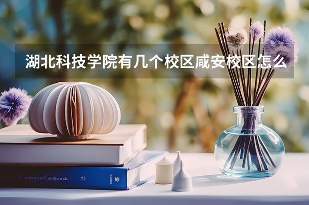 湖北科技学院有几个校区咸安校区怎么样？是几本？金牌专业是什么？