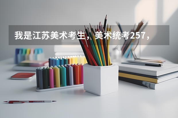 我是江苏美术考生，美术统考257，文化分264，省内能上哪些学校？