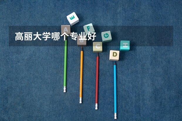 高丽大学哪个专业好