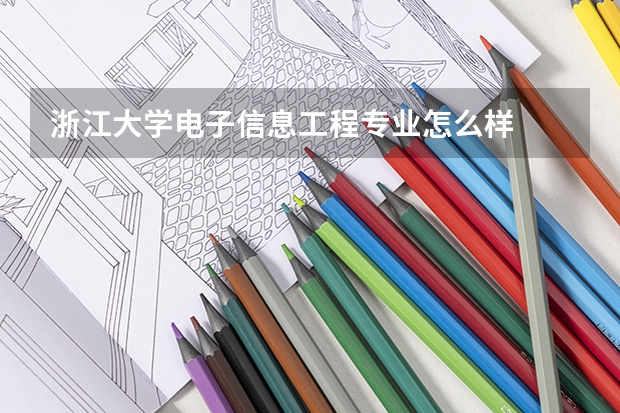 浙江大学电子信息工程专业怎么样