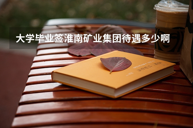 大学毕业签淮南矿业集团待遇多少啊