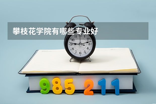 攀枝花学院有哪些专业好
