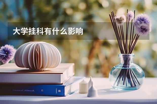 大学挂科有什么影响