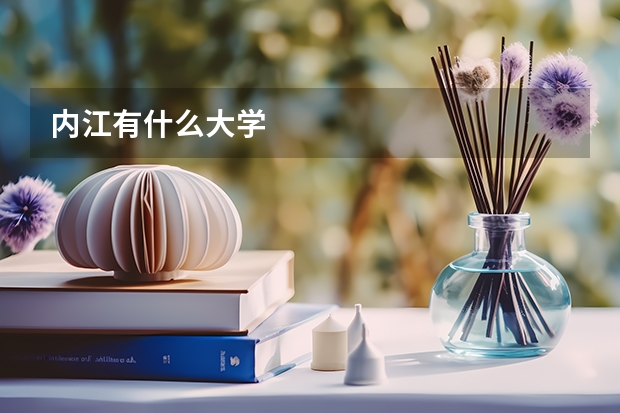 内江有什么大学