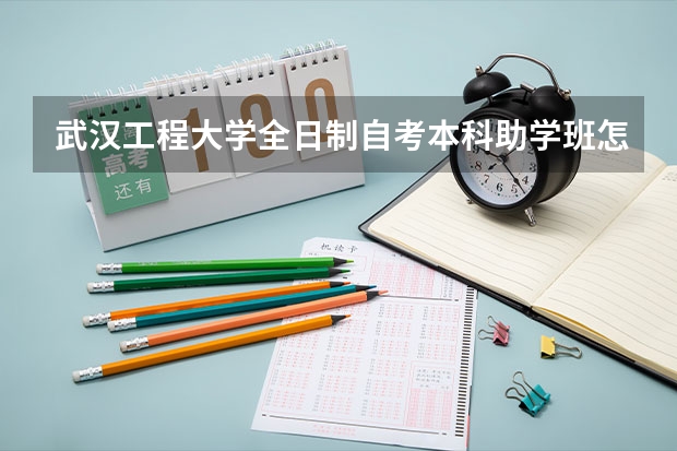 武汉工程大学全日制自考本科助学班怎么样