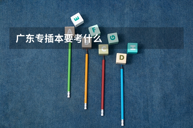 广东专插本要考什么