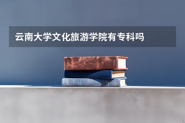 云南大学文化旅游学院有专科吗
