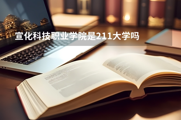 宣化科技职业学院是211大学吗