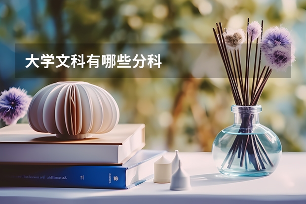 大学文科有哪些分科