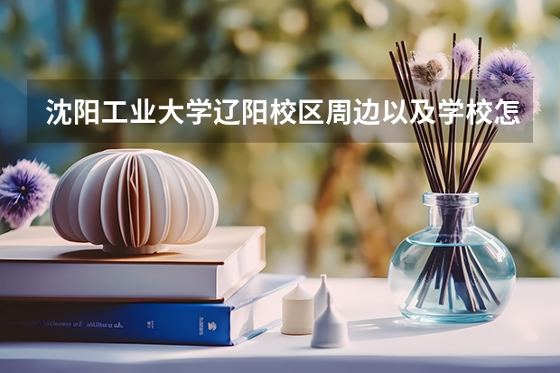 沈阳工业大学辽阳校区周边以及学校怎么样？急！