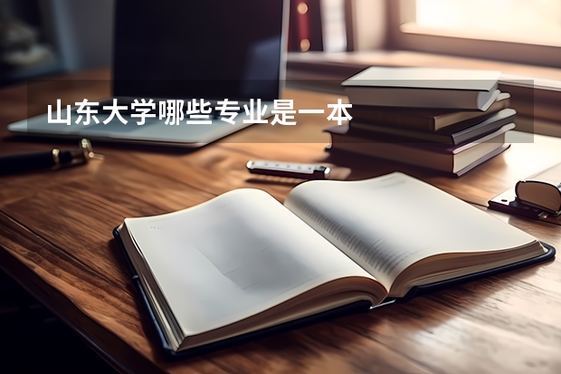 山东大学哪些专业是一本