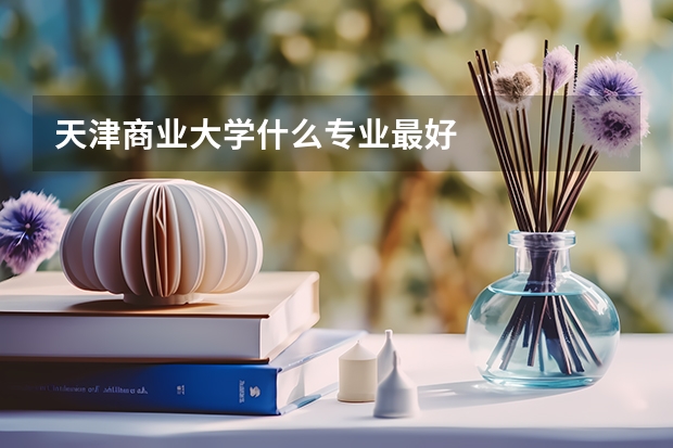 天津商业大学什么专业最好