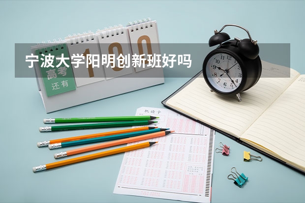 宁波大学阳明创新班好吗