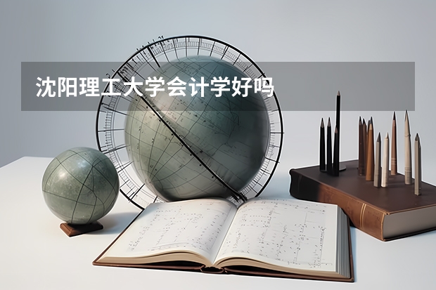 沈阳理工大学会计学好吗