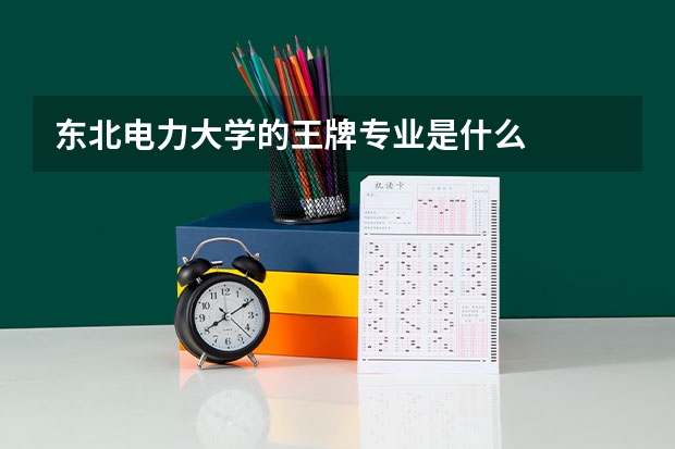 东北电力大学的王牌专业是什么