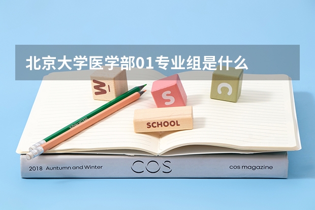 北京大学医学部01专业组是什么