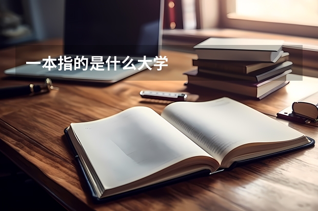 一本指的是什么大学
