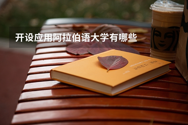 开设应用阿拉伯语大学有哪些