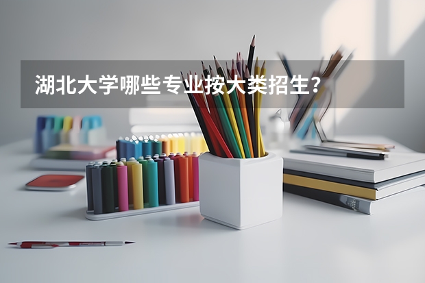 湖北大学哪些专业按大类招生？