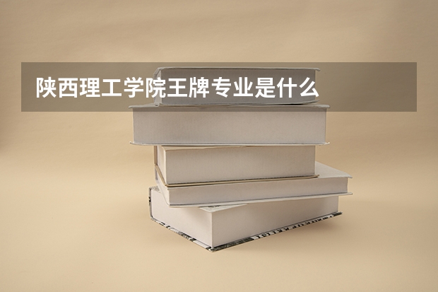 陕西理工学院王牌专业是什么