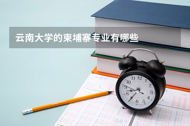 云南大学的柬埔寨专业有哪些
